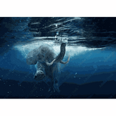 Wall Art Canvas - Elephant Swimming
