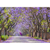 Wall Art Canvas - Jacaranda in Bloom