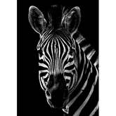 Wall Art Canvas - Majestic Stripes