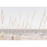 Canvas Wall Art - Beach Vass 2