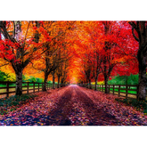 Canvas wall art - October Colors