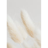 Canvas wall art - Bunny tail grass