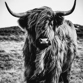 Wall Art Canvas - Make me moove