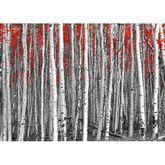Wall Art Canvas - Red leaves in a black and white forest