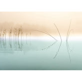 Canvas Wall Art - Nature