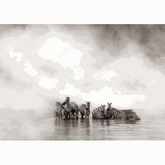 Wall Art Canvas - Zebra Herd By The River