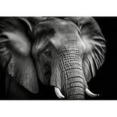 Wall Art Canvas - Portrait of an Elephant in Black and White