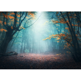Wall Art Canvas - Mystical Forest