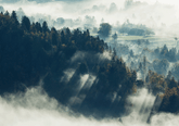 Wall Art Canvas - Mountain Top Forest