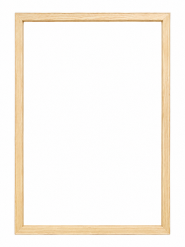 Wall Art Canvas - Buffalo