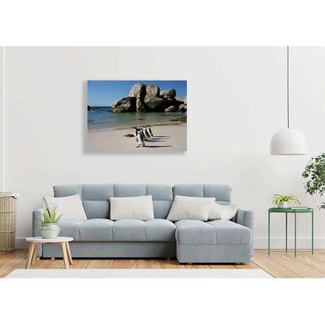 Canvas Wall Art - African Penguins At Boulders