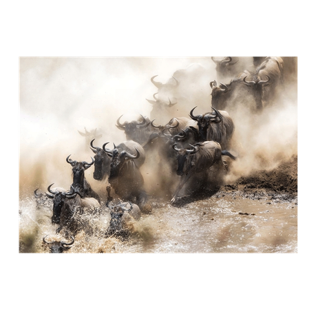 Wall Art Canvas - Wildebeest Herd