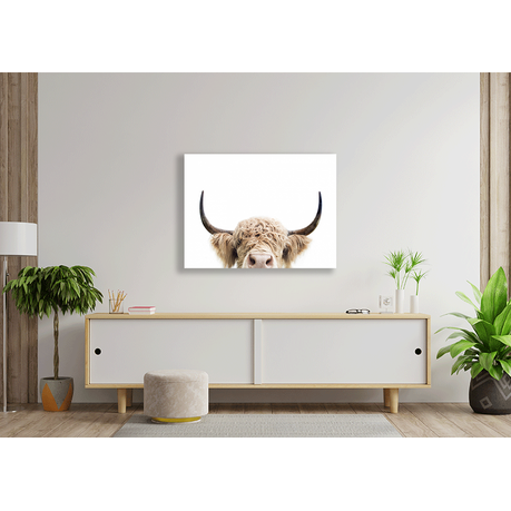 Canvas Wall Art - Peeking Cow