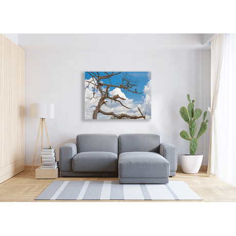 Wall Art Canvas - African Leopard Resting in a Tree