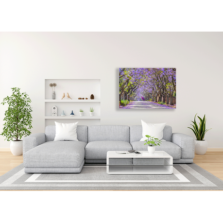 Wall Art Canvas - Jacaranda in Bloom