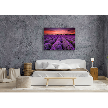 Wall Art Canvas - Lavender Field at Sunset