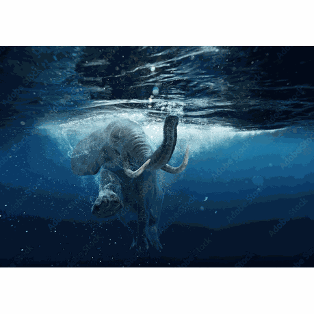 Wall Art Canvas - Elephant Swimming