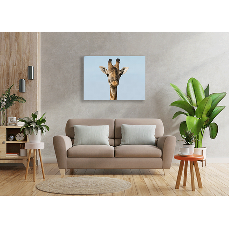 Wall Art Canvas - Giraffe Face