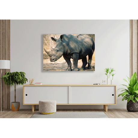 Wall Art Canvas - Black Rhinoceros