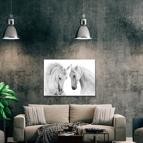 Wall Art Canvas - White Beauty