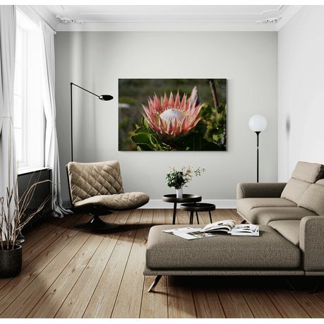 Canvas Wall Art - King Protea