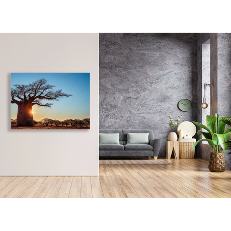 Wall Art Canvas - Boabab on a Dry Savannah