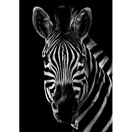 Wall Art Canvas - Majestic Stripes