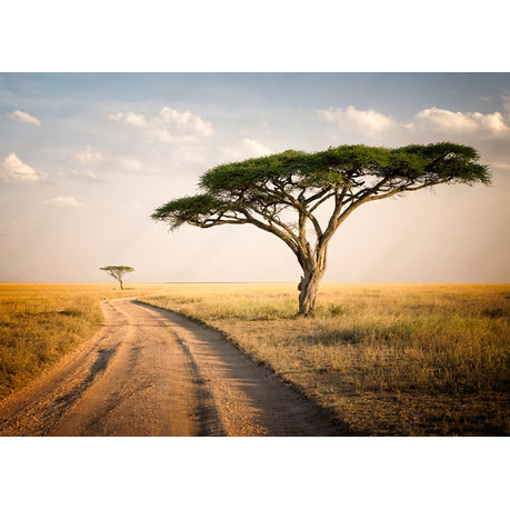 Canvas Wall Art - African Landscape - Tanzania