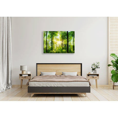 Wall Art Canvas - Sunshine Through Trees