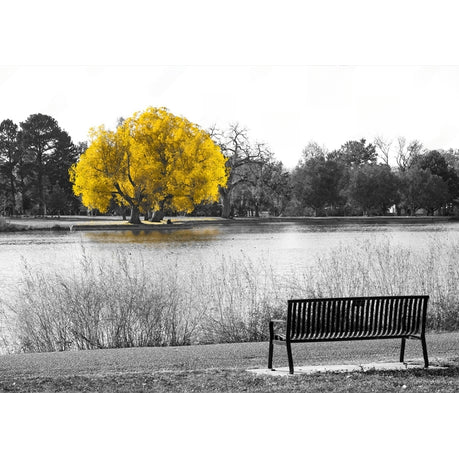 Wall Art Canvas - Yellow Tree in Black and White Landscape