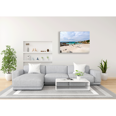Canvas Wall Art - African Penguins