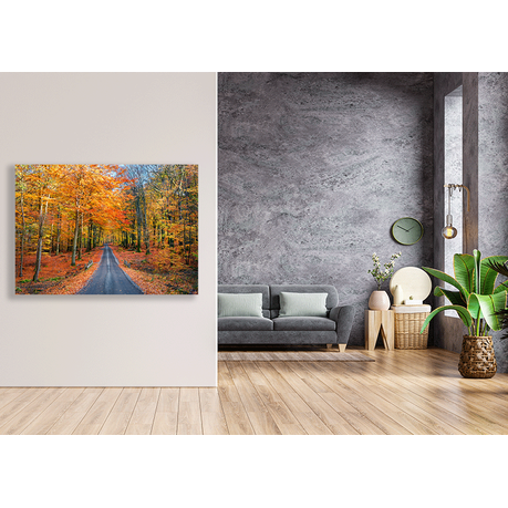 Canvas Wall Art - Road Into Autumn