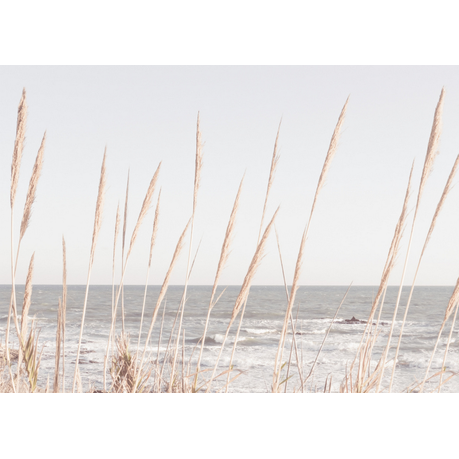 Canvas Wall Art - Beach Vass 2