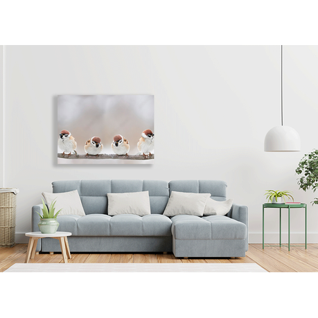 Wall Art Canvas - Little Birds Sit On A Branch and Chirp