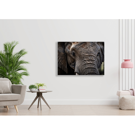 Wall Art Canvas - Gaze at The Wild Beauty of The Elephant