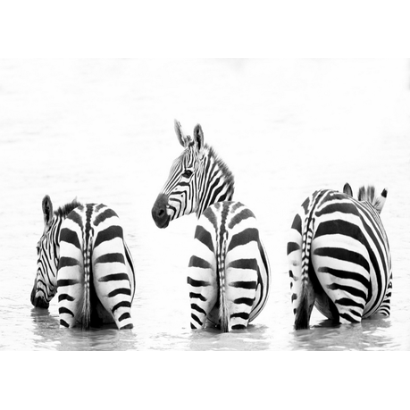 Canvas Wall Art - Stripes From Behind