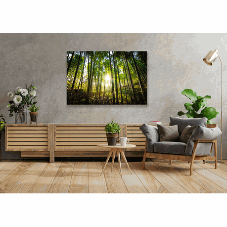 Wall Art Canvas - Forest Sunset