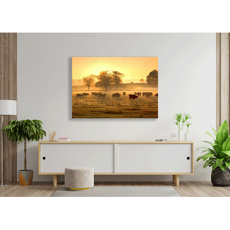Wall Art Canvas - Panorama of Grazing Cows in a Meadow