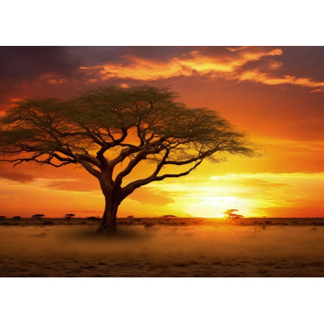 Wall Art Canvas - Sunset on the African Plains with Acacia Tree