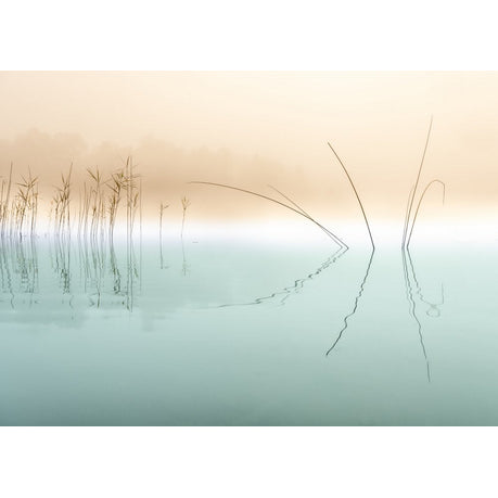 Canvas Wall Art - Nature