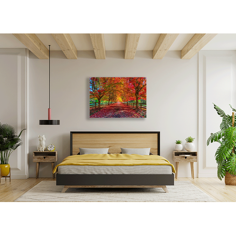 Wall Art Canvas - Autumn Trees Lining Driveway