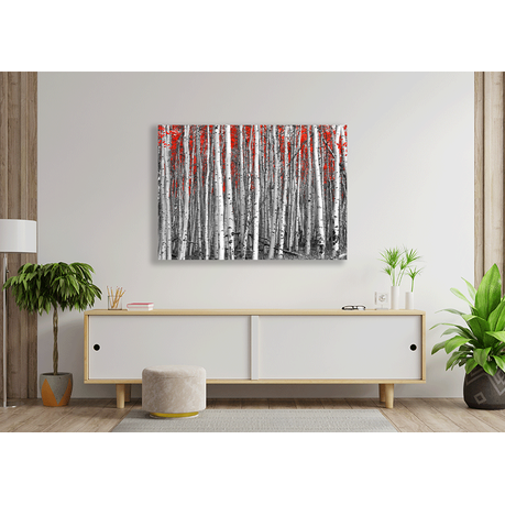 Wall Art Canvas - Red leaves in a black and white forest