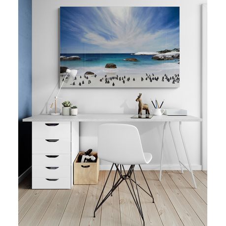 Canvas wall art - The penguins at Boulder's beach