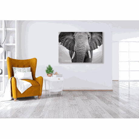 Wall Art Canvas - Elephant Walking