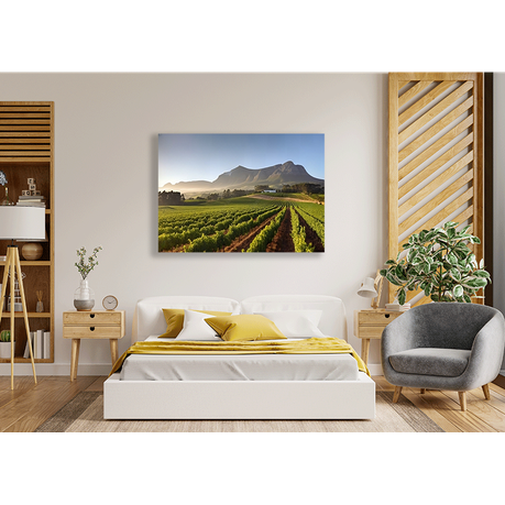 Canvas Wall Art - Vineyard Tour in Cape Town