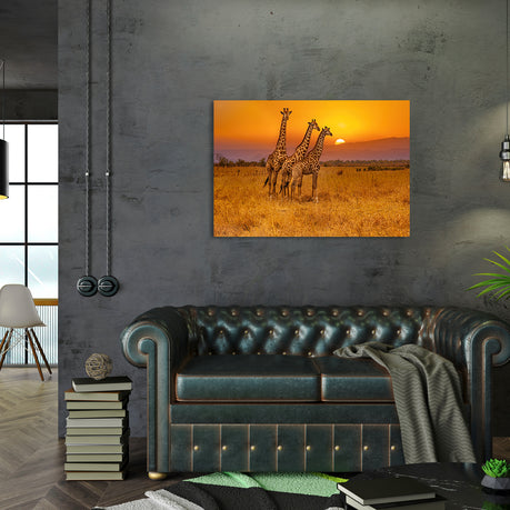 Wall Art Canvas - 3 Giraffes and an African Sunset
