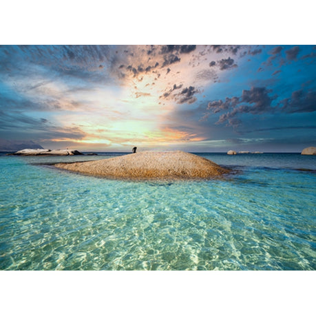 Canvas Wall Art - Striking Scene Of Cape Penguins