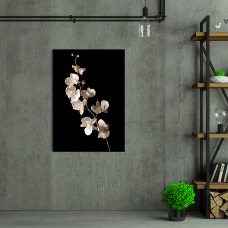 Wall Art Canvas - White Orchid Isolated Over Black Background