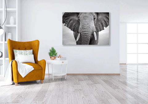 Wall Art Canvas - Elephant Close Up