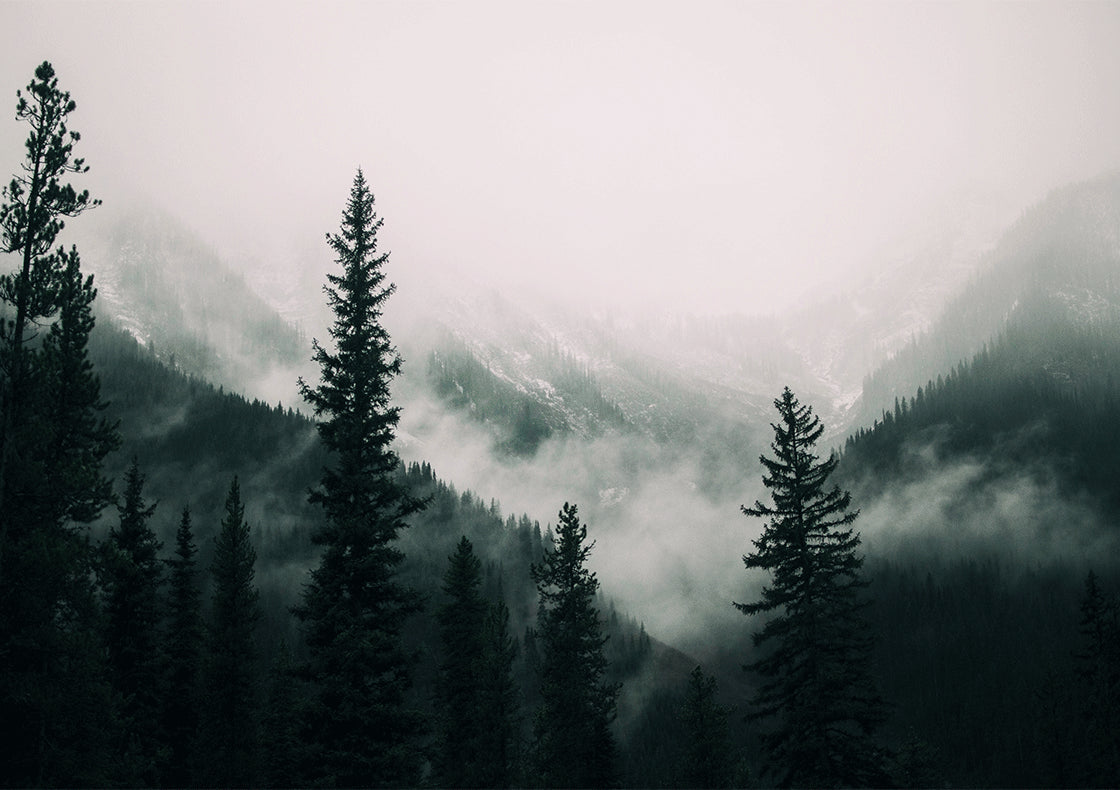 Wall Art Canvas - Misty Mountain Valley